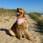 Bandana Oletta