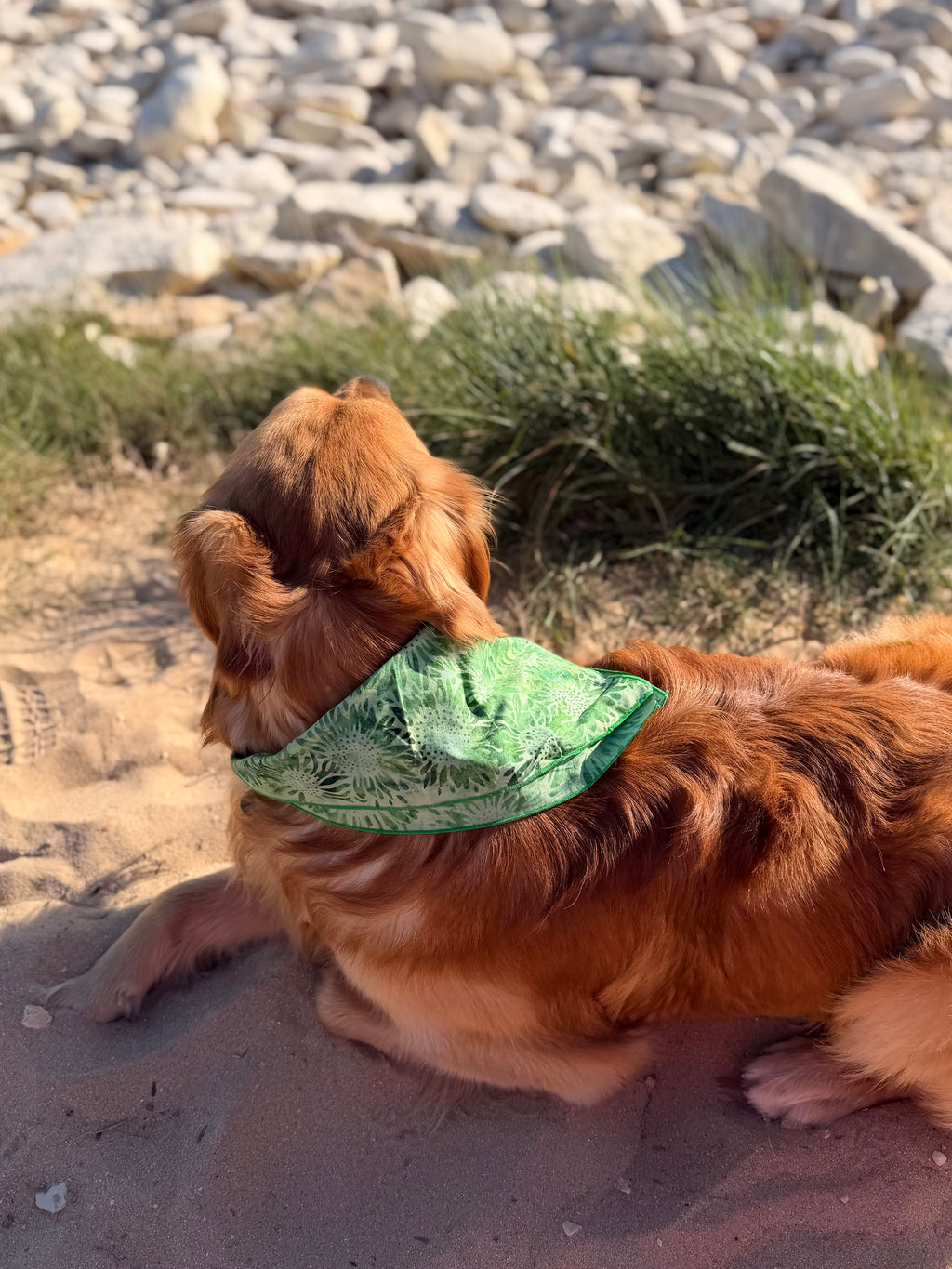 Bandana Vert