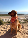 Bandana Oscar