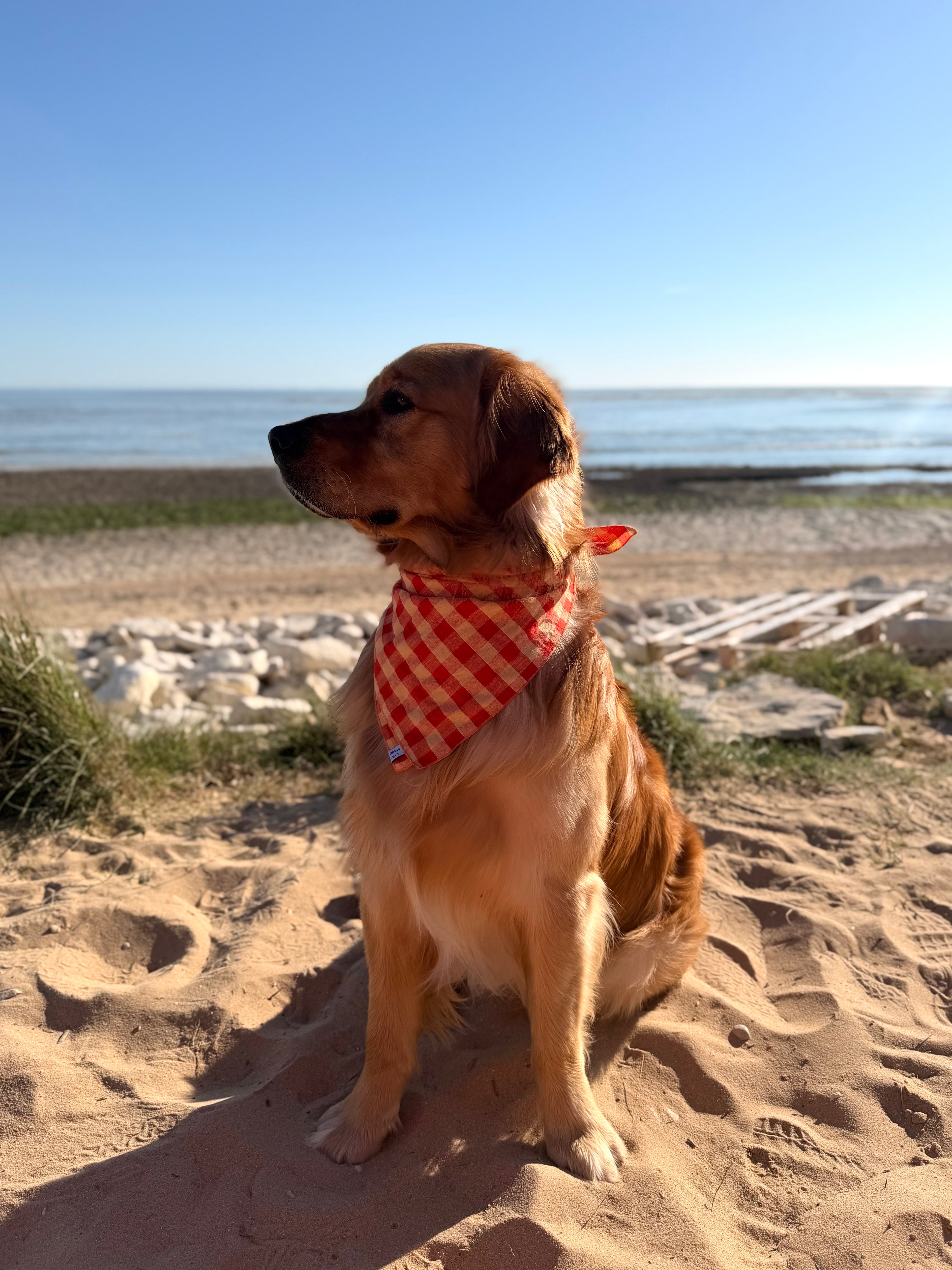 Bandana Oscar