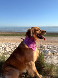 Bandana Violetta