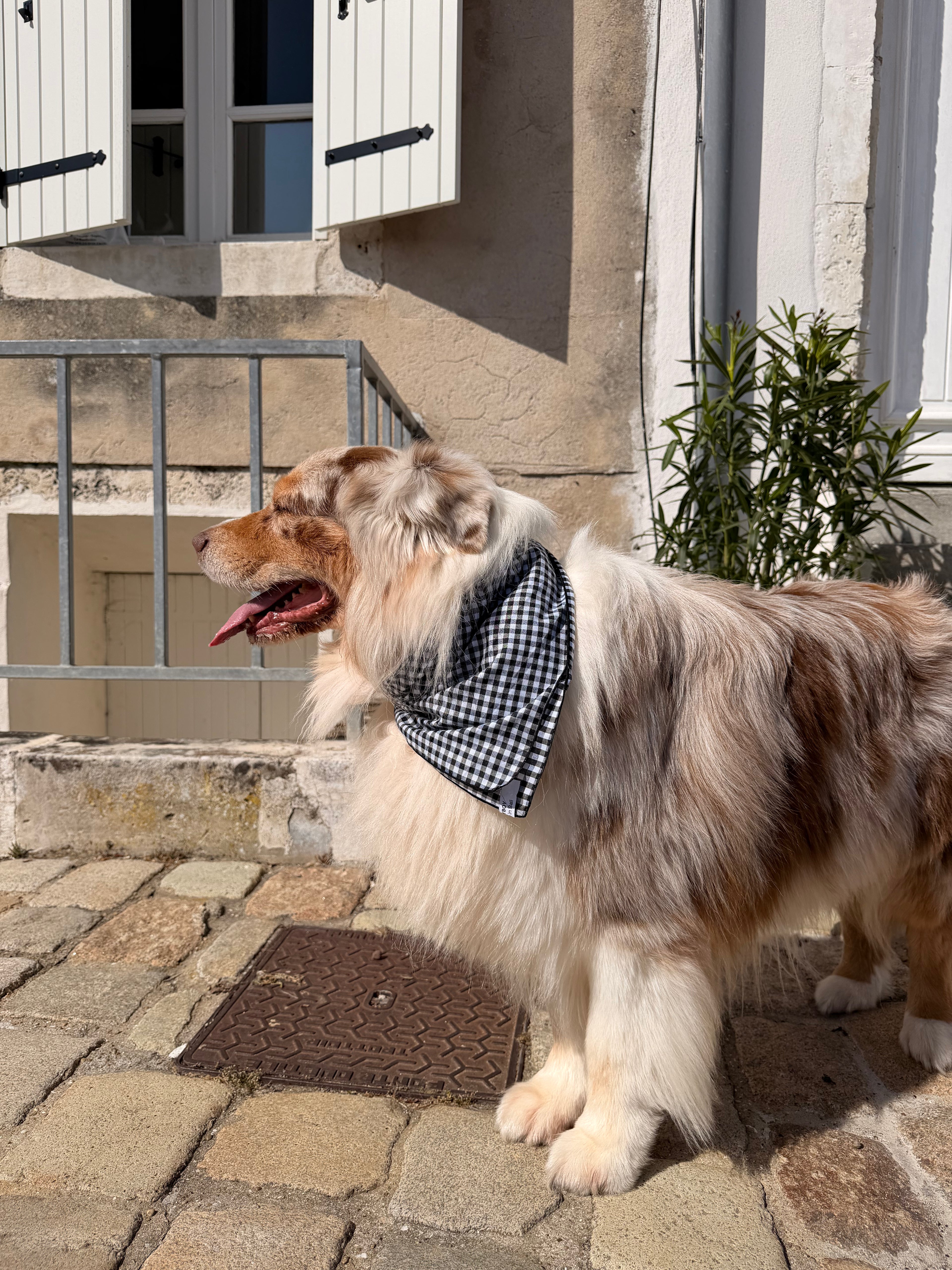 Bandana Milo