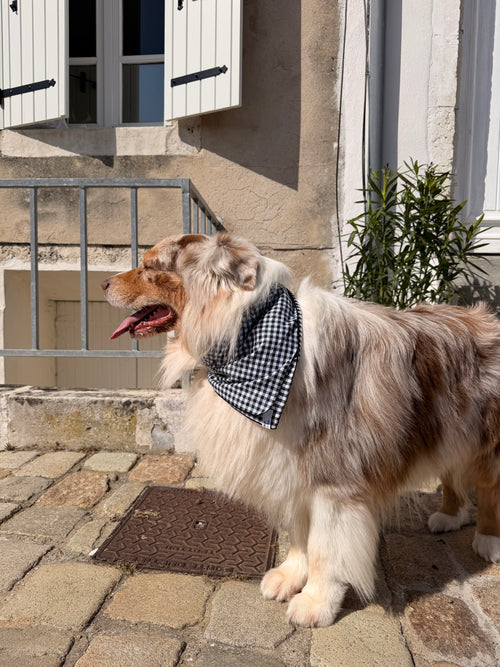 Bandana Milo