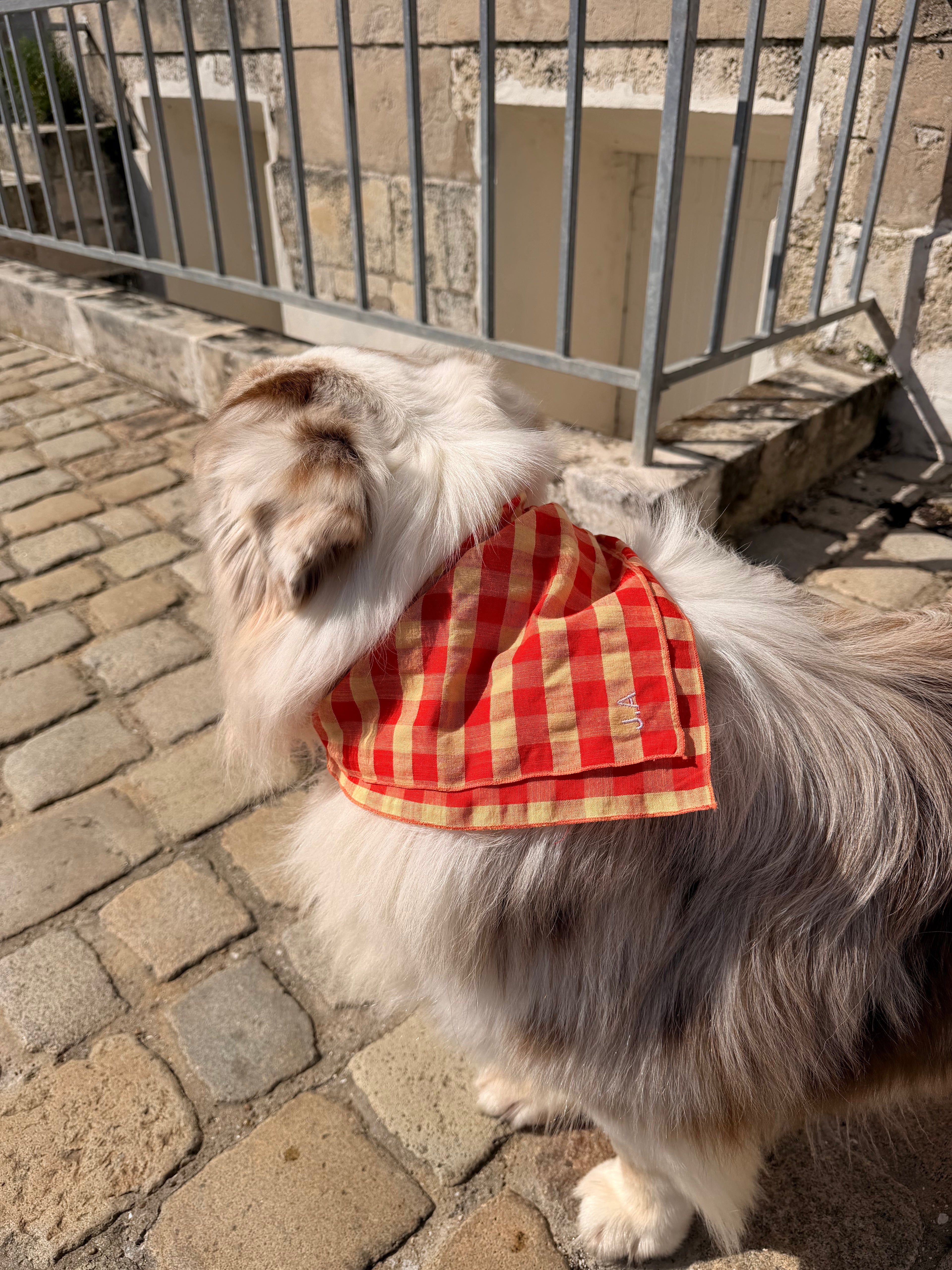 Bandana Oscar