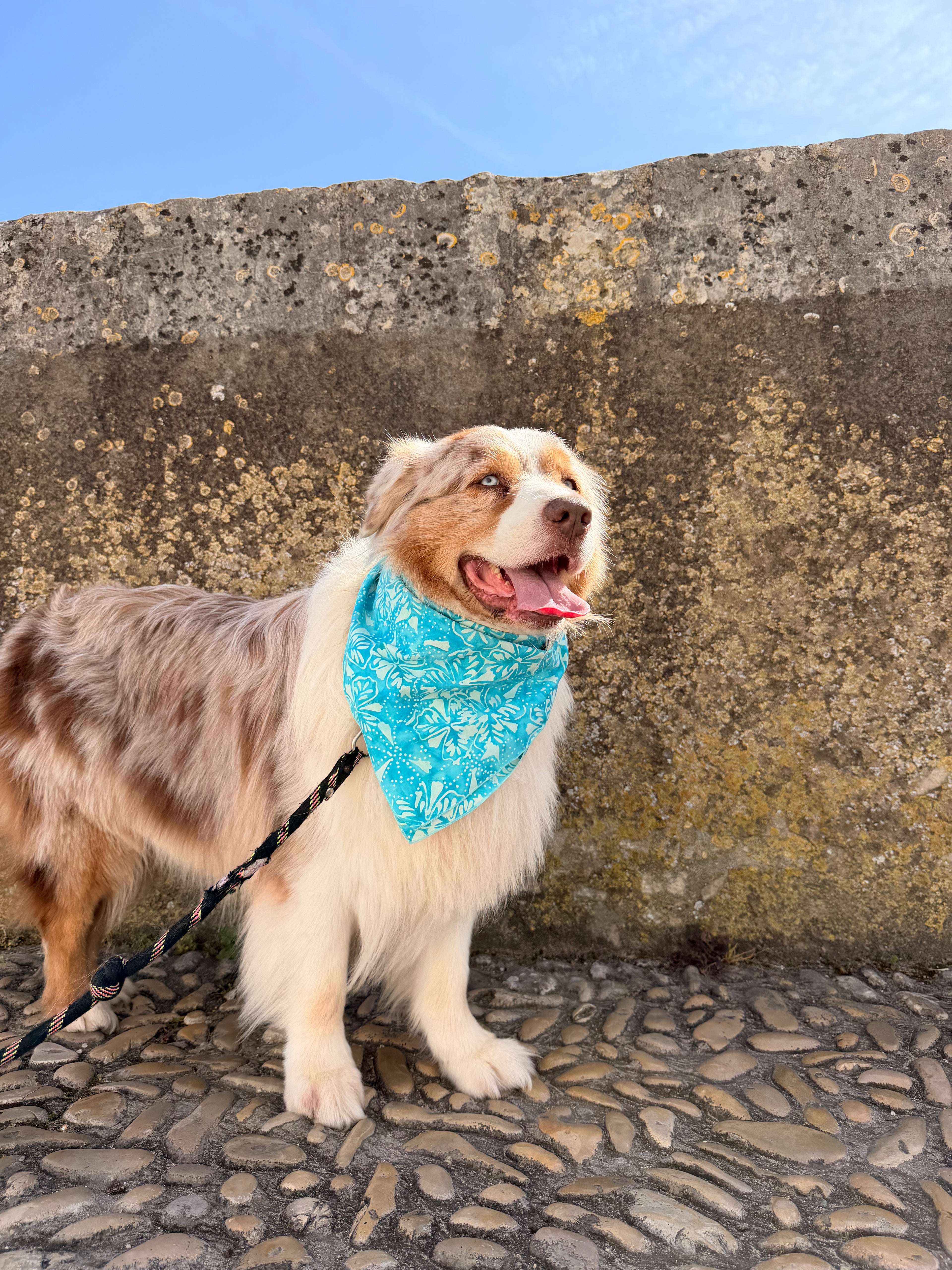 Bandana Billy