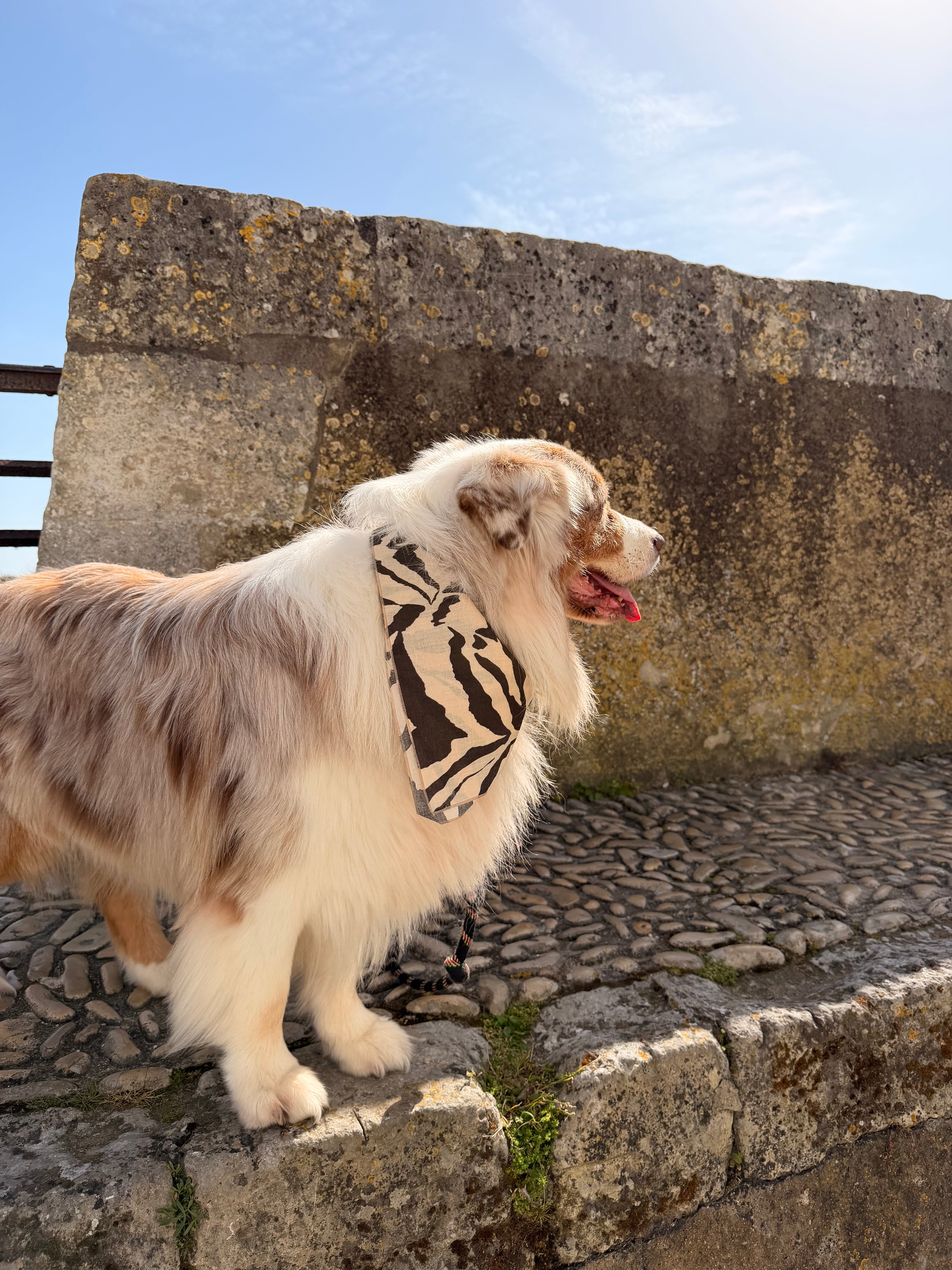 Bandana April