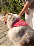 Bandana Paco