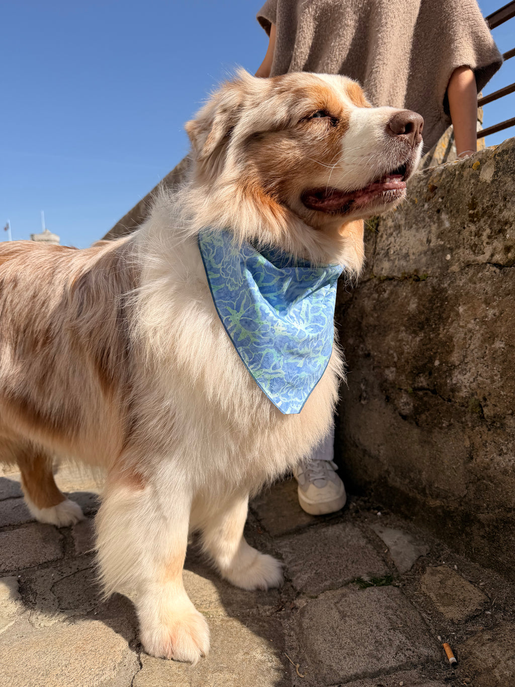 Bandana Toscane