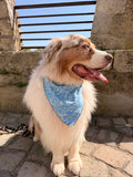 Bandana Toscane