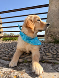 Bandana Alma