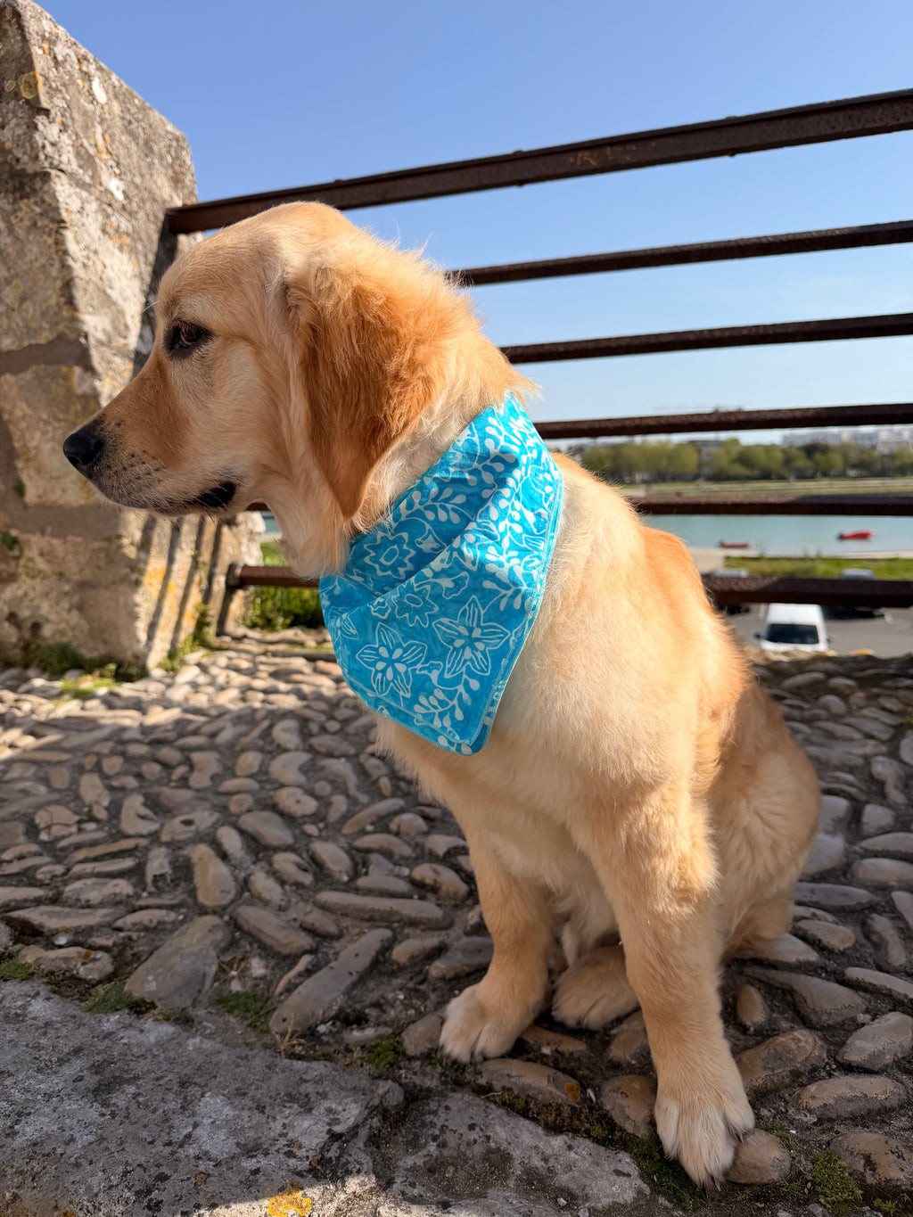 Bandana Alma