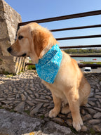 Bandana Alma