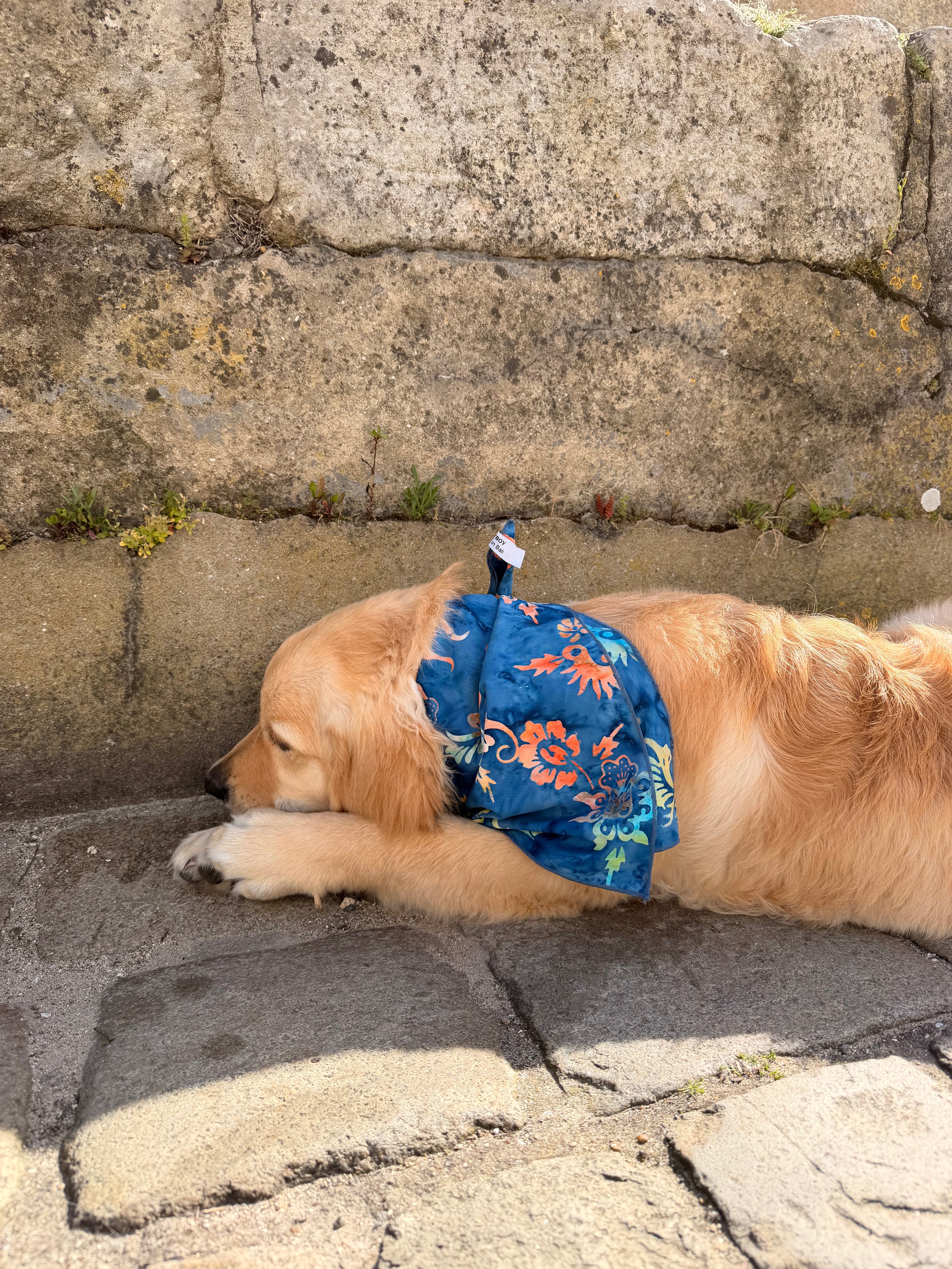 Bandana Rio