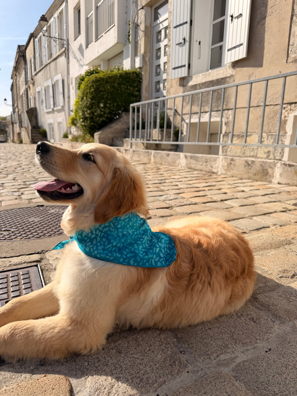 Bandana Lilo