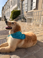 Bandana Lilo